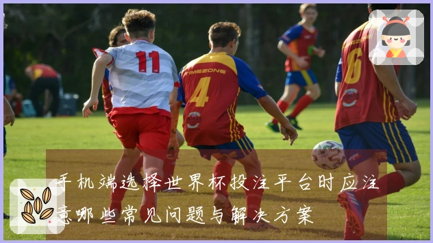 手机端选择世界杯投注平台时应注意哪些常见问题与解决方案