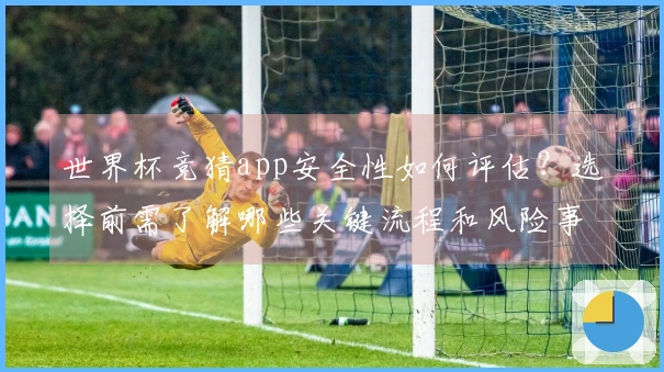 世界杯竞猜app安全性如何评估？选择前需了解哪些关键流程和风险事项