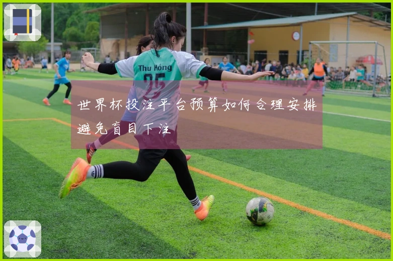 世界杯投注平台预算如何合理安排避免盲目下注
