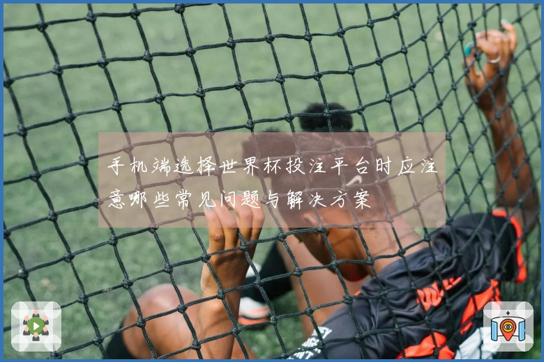 手机端选择世界杯投注平台时应注意哪些常见问题与解决方案