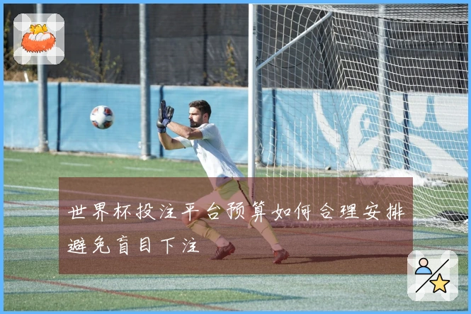 世界杯投注平台预算如何合理安排避免盲目下注